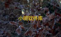 小明软件库